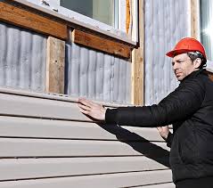 Best Siding Painting and Refinishing  in USA